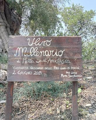 Terreno - Motta Sant'Anastasia