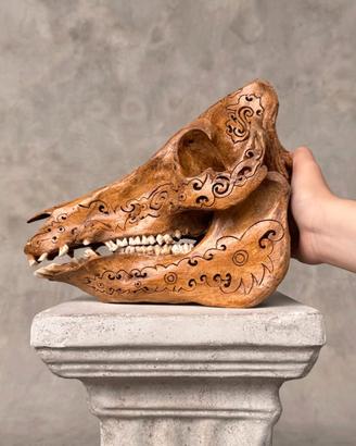 GRANDE REALE TESCHIO INTAGLIATO A MANO CINGHIALE 