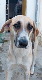 Grace una dolcezza infinita