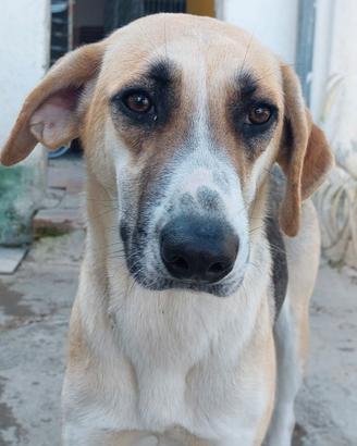 Grace una dolcezza infinita