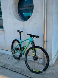 MTB-Focus