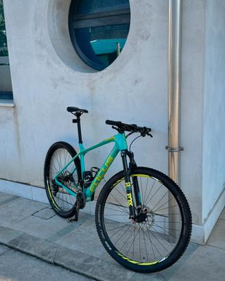 MTB-Focus