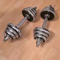 Manubri palestra Gym