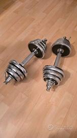 Manubri palestra Gym