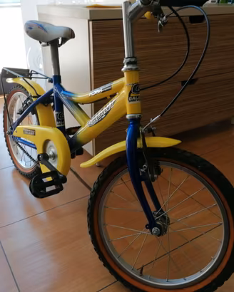 Bici R16