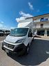 fiat-ducato