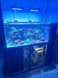 ACQUARIO MARINO COMPLETO 