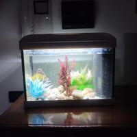 ACQUARIO ACQUA DOLCE