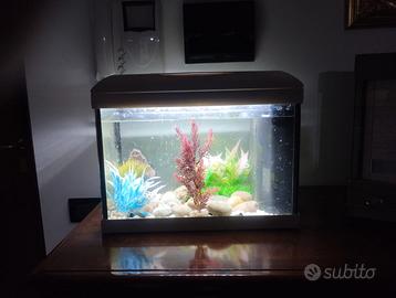 ACQUARIO ACQUA DOLCE