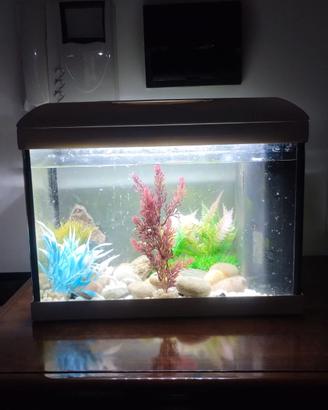 ACQUARIO ACQUA DOLCE