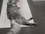 Immagine 5