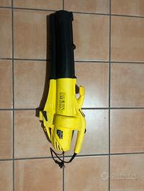 Aspiratore e soffiatore