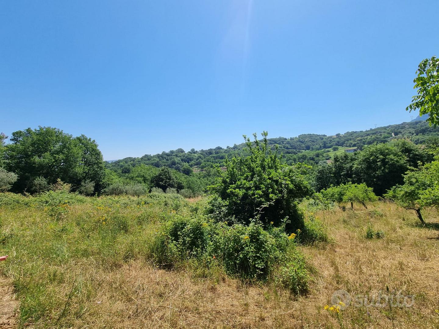 Due lotti di terreno di mq 9000 - Vista 5