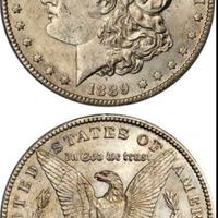 ricerco Dollaro Morgan