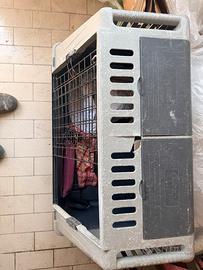Kennel