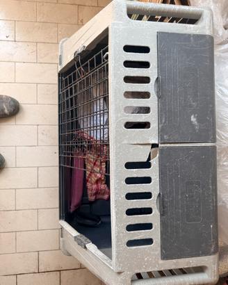 Kennel