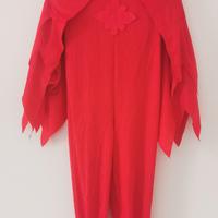 Vestito di carnevale SUPER GUFETTA di Pegasus 