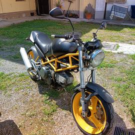 Ducati Monster 600 dark