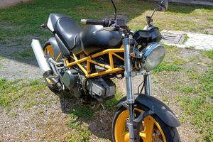 Ducati Monster 600 dark