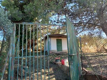 Appezzamento di terreno