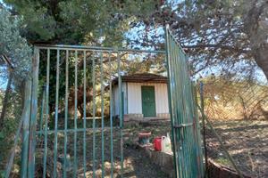 Appezzamento di terreno