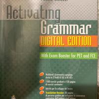 Activating Grammar 