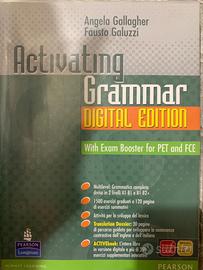 Activating Grammar 