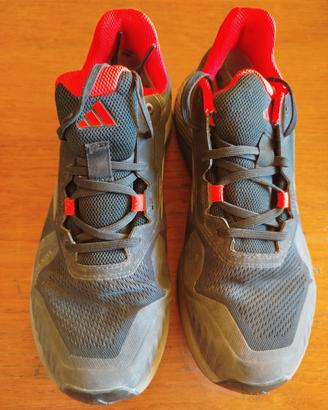 Scarpe Hiking Adidas Terrex 42