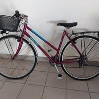 bici Kastle trekking pro
