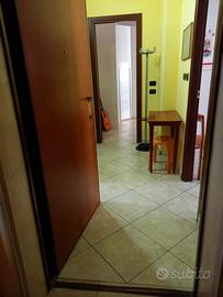 Da subito libero posto letto in condivisione