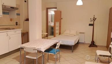 PISANA MONOLOCALE CON POSTO AUTO