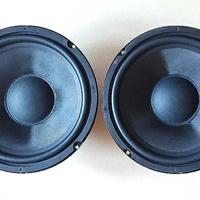 Coppia Woofer 10" (25 CM)