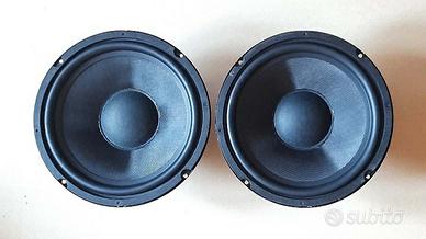 Coppia Woofer 10" (25 CM)