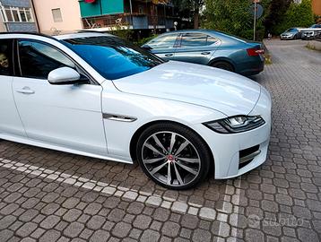 Jaguar xf -R SPORT 2.0 180 CV