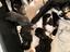 Immagine 5
