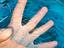 Immagine 5