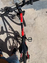Bici muntain bike 24
