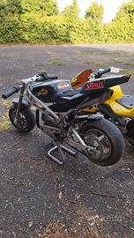 minimoto 