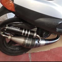 Polini evolution 11 piaggio - gilera