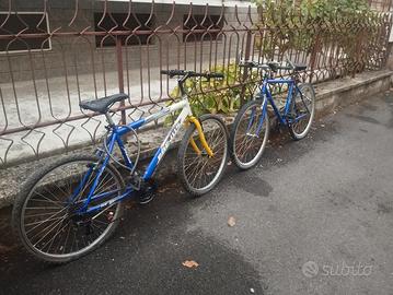 2 biciclette 