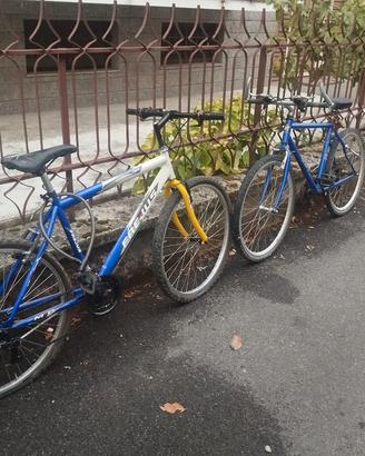 2 biciclette 