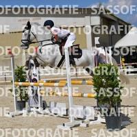 Castrone esperto per categorie brevetto