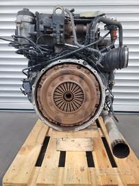 Motore MAN D0834 LFL 76 220 cv EURO 6 per TGL TGM