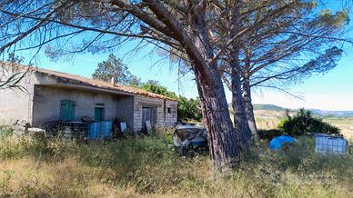 Terreno Agricolo con Abitazione a Perfugas