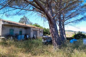 Terreno Agricolo con Abitazione a Perfugas