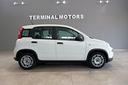 fiat-panda-1-0-firefly-s-s-hybrid