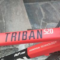 bicicletta donna 