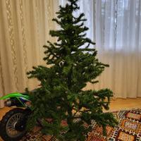 Albero di Natale