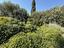 Immagine 22