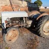 Trattore massey ferguson TEF